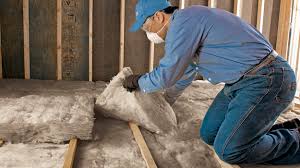 Best Spray Foam Insulation  in Manchaca, TX