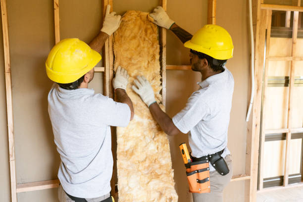 Best Basement Insulation  in Manchaca, TX