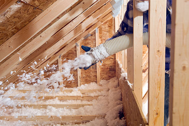 Best Insulation Removal  in Manchaca, TX